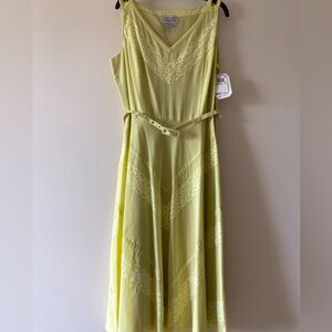 Adrianna Papell Lace Embellished Light Kiwi🥝 Full Skirt Dress, size 10
